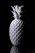 French Photographer Paris Accessories Porcelain Pineapple