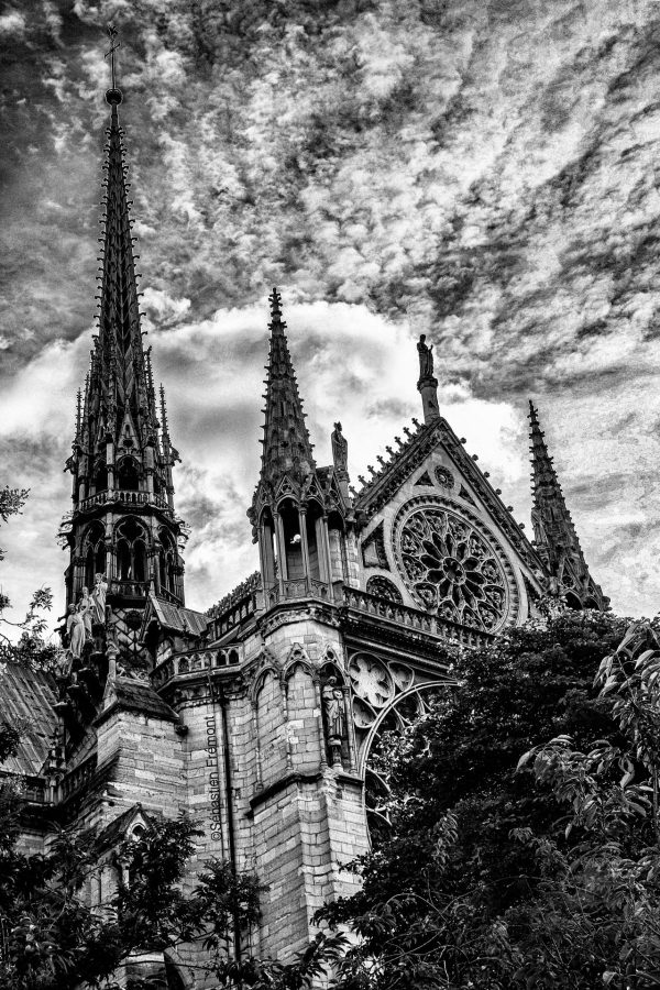 French Photographer Art Photography Paris / The spire of Notre-Dame de Paris