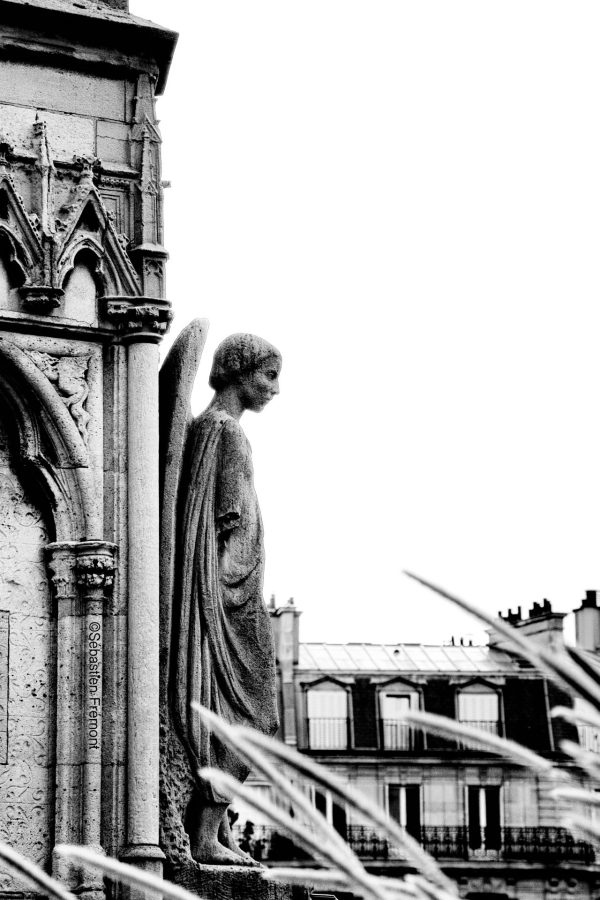 French Photographer Art Photography Paris / Fountain of the Virgin at Notre Dame Cathedral Paris France
