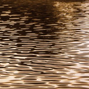 French Photographer Paris France Art Photography Gold Water