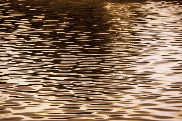 French Photographer Paris France Art Photography Gold Water